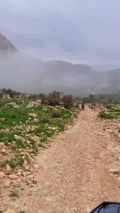 فیلم روستای باغتاج / گنج پنهان بوشهر در فصل شکوفایی