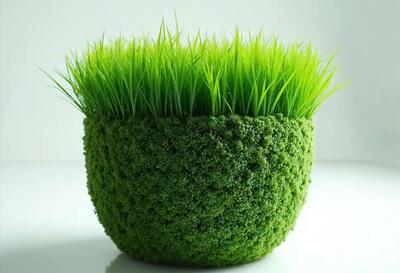 چگونه در سه روز سبزه عید خود را آماده کنیم؟