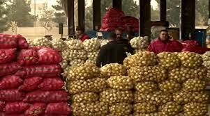 راهکار بی شرفانه مافیای مواد غذایی برای گرانی سیب‌زمینی فاش شد