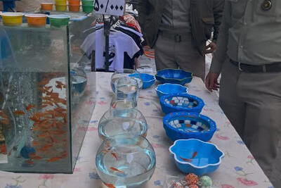 ماهی قرمز، نمادی زیبا اما با خطرات پنهان