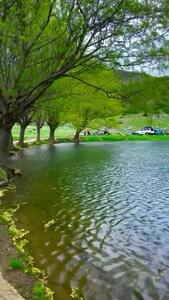 فیلم سفر به آبگیر قارقچال بالاده / طبیعتی بکر در دامنه قله شاهدژ