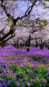 سبزی پلو با ماهی غذای محبوب عید نوروز + فیلم