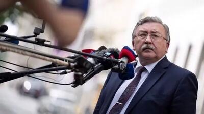 اولیانوف از نشست در وین خبر داد