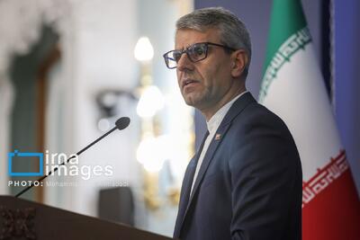 بقایی: فعلا بنا بر انتشار نامه ترامپ نداریم