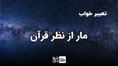 تعبیر خواب مار از نظر قرآن / یوسف نبی و امام صادق درباره خواب مار چه می‌گویند؟