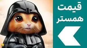 قیمت همستر کامبت امروز سه‌شنبه 28 اسفند
