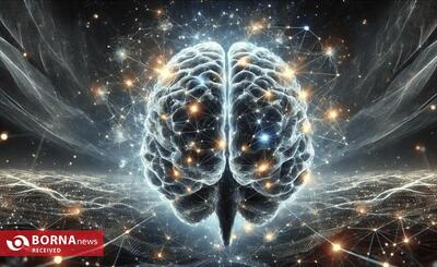 پردازش سریع‌تر از کامپیوتر؛ راز محاسبات مغز در تعاملات غیرمحلی