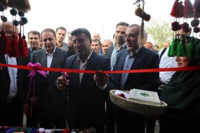 ‍ ‍ نمایشگاه صنایع‌دستی و سوغات محلی دهلران ایلام ویژه نوروز افتتاح شد