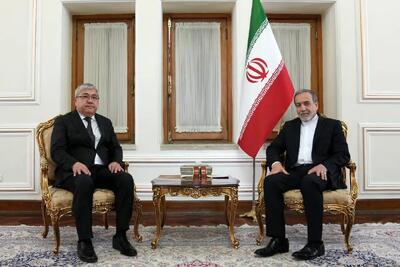 سفیر جمهوری قرقیزستان در پایان مأموریت خود با عراقچی دیدار کرد