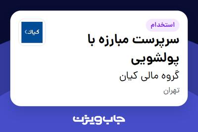 استخدام سرپرست مبارزه با پولشویی در گروه مالی کیان