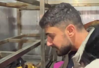 فیلم/ گلی گم کرده‌ام می‌جویم او را