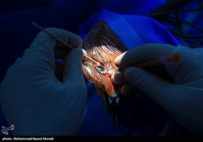 خطر پارگی چشم و نابینایی بر اثر استفاده از مواد منفجره - تسنیم