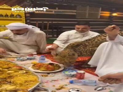 غذا خوردن با حیوانات وحشی!