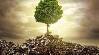 انتخاب طرح ارتقای مشارکت اجتماعی در حفاظت از محیط زیست خراسان جنوبی