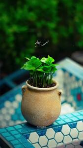 کلیپ آهنگ زیبا برای استقبال از فصل بهار