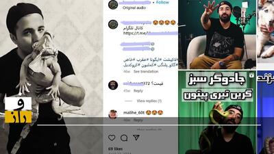 بلاگری خزندگان: از سمندر تا مار پیتون!