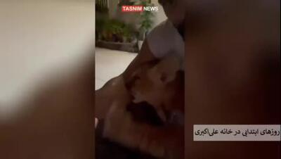 علی‌اکبری: از رسانه‌ای کردن ماجرای توله شیر پشیمانم