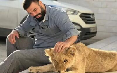 لحظه تلخ جدایی از توله‌شیر برای علی‌اکبری / فیلم