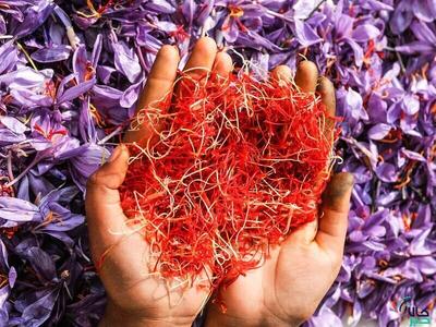 قیمت جدید زعفران اعلام شد