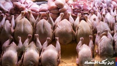 قیمت مرغ امروز ۲۹ اسفند ۱۴۰۳ / ران مرغ کیلویی چند؟ + جدول