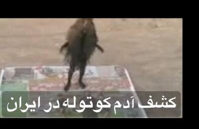 آدم کوتوله ها در غرب ایران دیده شدند