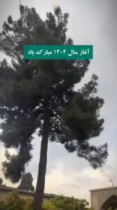 لحظه زیبای تحویل نوروز 1404 در حافظیه شیراز | 30 اسفند 1403