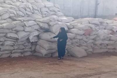 کشف بیش از ۳۰ تن مواد دخانی فاسد و غیرمجاز در راسک