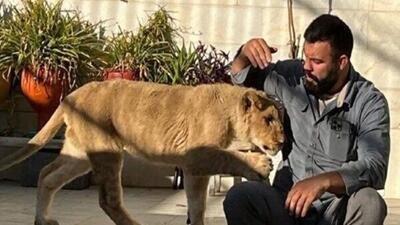 اقدام خاص امیر علی اکبری برای باغ وحش ارم تهران | روزنو
