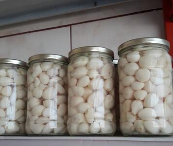 طرز تهیه ترشی سیر صدفی خانگی خوشمزه و ساده