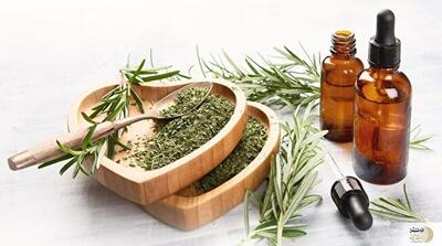 فواید روغن این گیاه برای مو/ از رشد مو تا کاهش شوره سر