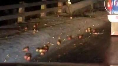 ریزش سنگ در جاده چالوس و هراز/ از توقف در حاشیه جاده‌ها خودداری کنید اندیشه معاصر
