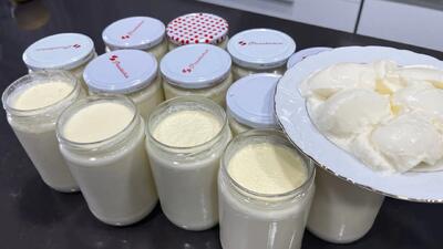 طرز تهیه ماست سفت شیشه ای با ۱ لیتر شیر در ۳ دقیقه