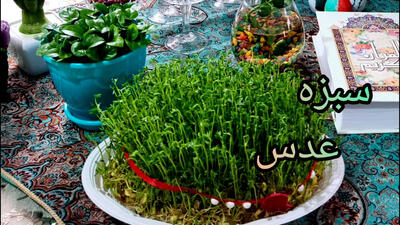 آموزش تهیه سبزه عدس برای سفره هفت سین! ۲۸ اسفند ۱۴۰۳