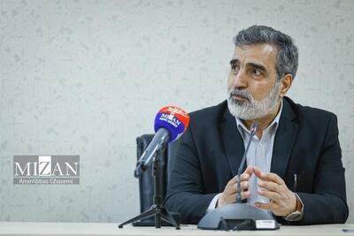 سخنگوی سازمان انرژی اتمی: زلزله تاثیری بر تاسیسات نطنز نداشت