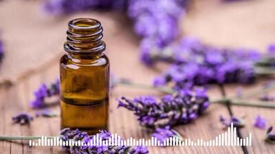 اسطوخودوس چیست؟+ فیلم