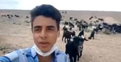 آواز احساسی؛پسر چوپان وسط دشت و صحرا یطوری آهنگ شجریان رو خوند که جاش رو استیج کنسرته