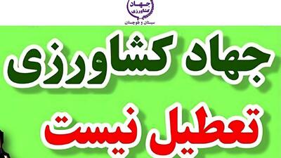 جهاد کشاورزی استان تعطیل نیست/ در ایام نوروز آماده خدمات‌رسانی به کشاورزان و تنظیم بازار