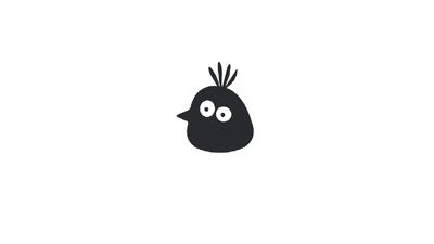 چهار تصویر برد (Bird) امروز شنبه 2 فروردین + تصویر کارت ها
