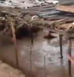 فاجعه سیل در ایلام؛ سیل ۱۸۰ گوسفند را برد!