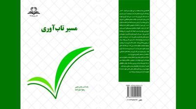 میگنا - مسیر تاب آوری فراز و فرود دارد
