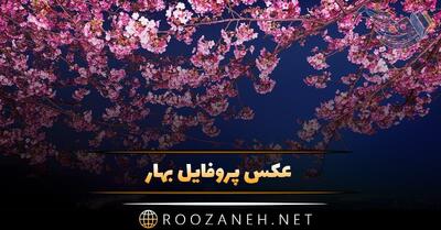 عکس پروفایل بهار با عکس نوشته و متن های زیبا
