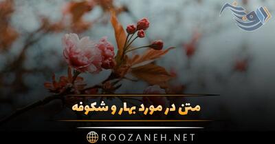 متن در مورد بهار و شکوفه؛ شعر و جملات ناب در وصف بهار