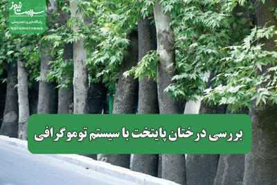 بررسی درختان پایتخت با سیستم توموگرافی