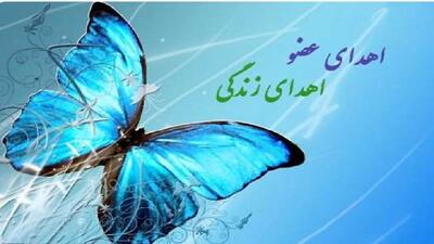 انجام نخستین اهدای عضو سال ۱۴۰۴در گیلان
