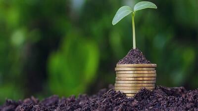 بیمه فراگیر محصولات اساسی راه حلی برای ارتقای امنیت غذایی