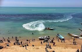 حضور گردشگران در ساحل ریشهر