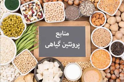 بهترین منابع پروتئینی برای گیاهخواران (فیلم)