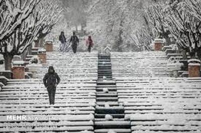 این منطقه از تهران دیشب کاملا یخ زد!