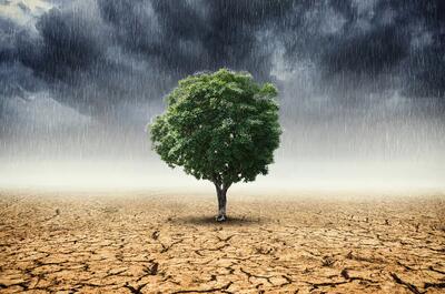 تغییرات اقلیمی در ایران؛ زنگ خطر برای امنیت آبی و زیست‌محیطی کشور