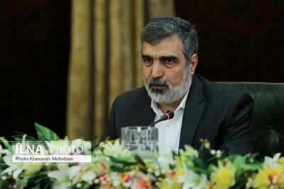 ایران در احقاق حقوق خود محکم و مصمم است؛ فشارهای غرب بی‌اثر است